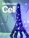 Molecular Cell期刊封面
