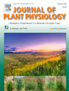 JOURNAL OF PLANT PHYSIOLOGY期刊封面