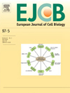 EUROPEAN JOURNAL OF CELL BIOLOGY期刊封面