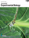 JOURNAL OF EXPERIMENTAL BIOLOGY期刊封面