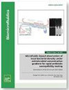 Biomicrofluidics期刊封面