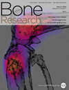 Bone Research期刊封面