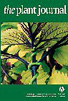PLANT JOURNAL期刊封面
