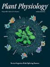 PLANT PHYSIOLOGY期刊封面