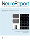 NEUROREPORT期刊封面