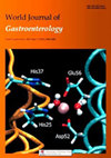 WORLD JOURNAL OF GASTROENTEROLOGY期刊封面