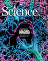 SCIENCE期刊封面