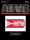 ARTERIOSCLEROSIS THROMBOSIS AND VASCULAR BIOLOGY期刊封面