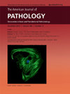 AMERICAN JOURNAL OF PATHOLOGY期刊封面