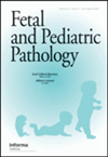 Fetal and Pediatric Pathology：从胚胎到童年的疾病解码者——影响因子与版面费务实指南