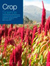 CROP SCIENCE期刊封面