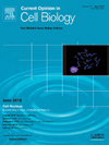 CURRENT OPINION IN CELL BIOLOGY期刊封面