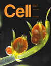CELL期刊封面