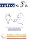 NEFROLOGIA：西班牙肾脏病学会官方钻石OA刊，零成本赋能区域肾病诊疗均质化