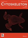 Cytoskeleton期刊封面