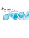 Frontiers in Microbiology期刊封面