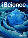 iScience期刊封面