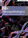 ACTA NEUROPATHOLOGICA期刊封面