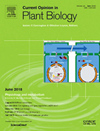 CURRENT OPINION IN PLANT BIOLOGY期刊封面