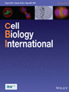 CELL BIOLOGY INTERNATIONAL期刊封面