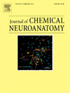 JOURNAL OF CHEMICAL NEUROANATOMY：锚定形态与生化交叉赛道 夯实神经科学研究的微观底层支撑