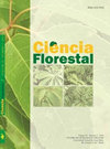 CIENCIA FLORESTAL期刊封面