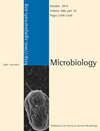 MICROBIOLOGY-SGM期刊封面
