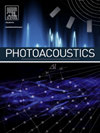 Photoacoustics期刊封面